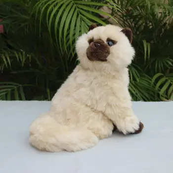 Kūrybos pliušinis modeliavimas persų katė žaislas minkštas aukštos kokybės Siamo katė lėlės gimtadienio dovana, apie 25cm w2539