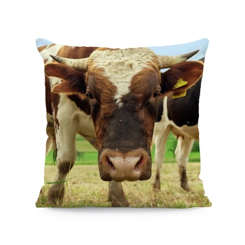 Ūkio Škotijos Galvijai Karvės Pieno Spausdinti Pagalvėlė Padengti Poliesterio Pagalvių Užvalkalus 45*45 Kvadratinių Pagalvės Atvejais, Sofos Namų Dekoro Užvalkalas