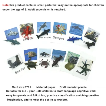 Montessori Kalbos Korteles Objektų Rinkinys Jūrų Gyvūnų Ikimokyklinio Žodžio, Studijų, Švietimo Žaislai Vaikams Juguete Montessori MB214